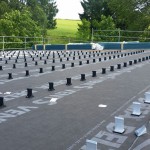 Bild_D